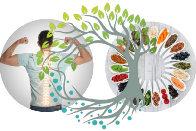 FUNCTIONAL MEDICINE BLURB BUTTON